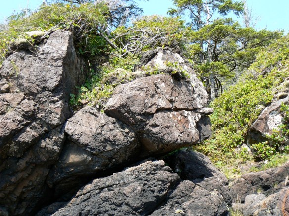 A serpent about to enter the birth story.